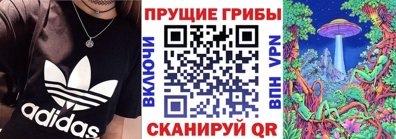 Псилоцибиновые грибы прущие грибы  даркнет сайт  KRAKEN зеркало  Заполярный 